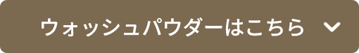 ウォッシュパウダーはこちら