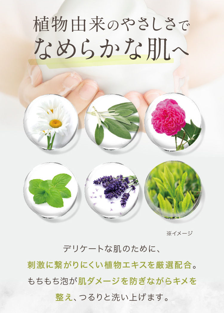 �f���P�[�g�Ȕ��̂��߂ɁA�h���Ɍq����ɂ����A���G�L�X�����I�z���B���������A�����_���[�W��h���Ȃ���L���𐮂��A���Ɛ􂢏グ�܂��B