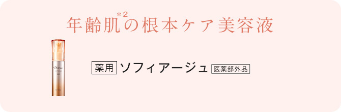 �N��̍��{�P�A���e�t