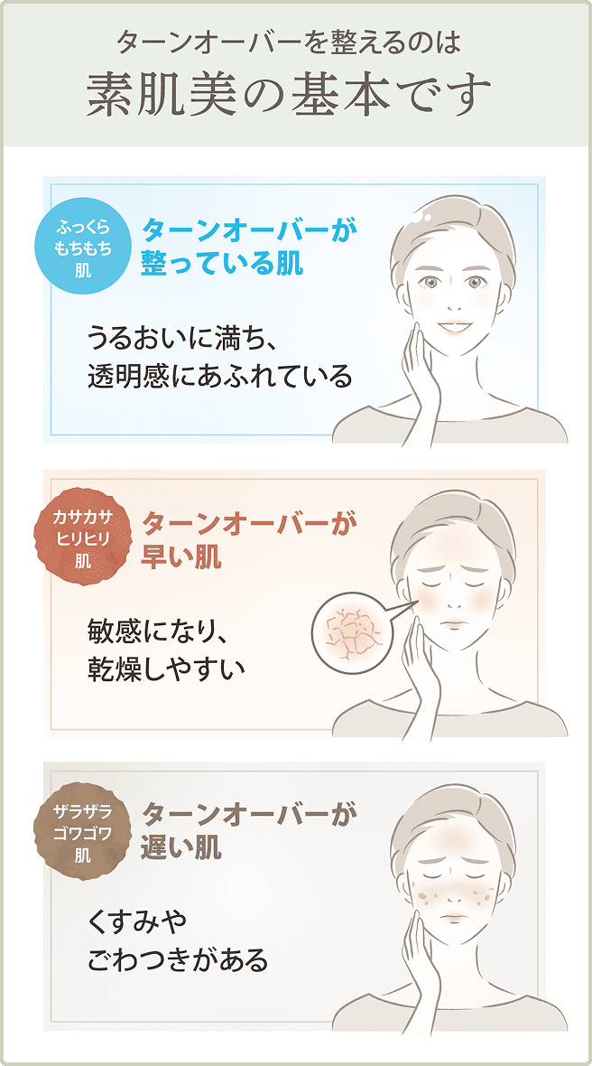 ターンオーバーを整えるのは素肌美の基本です ふっくらもちもち肌 ターンオーバーが整っている肌 うるおいに満ち、透明感に溢れている カサカサヒリヒリ肌 ターンオーバーが早い肌 敏感になり、乾燥しやすい ザラザラゴワゴワ肌 ターンオーバーが遅い肌 くすみやごわつきがある