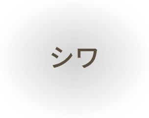 シワ
