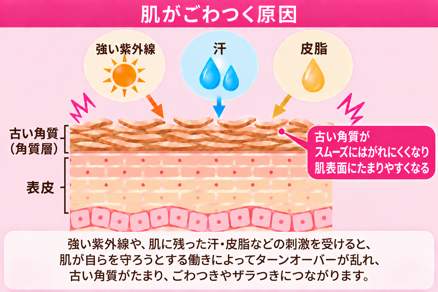 秋に肌がごわつく原因