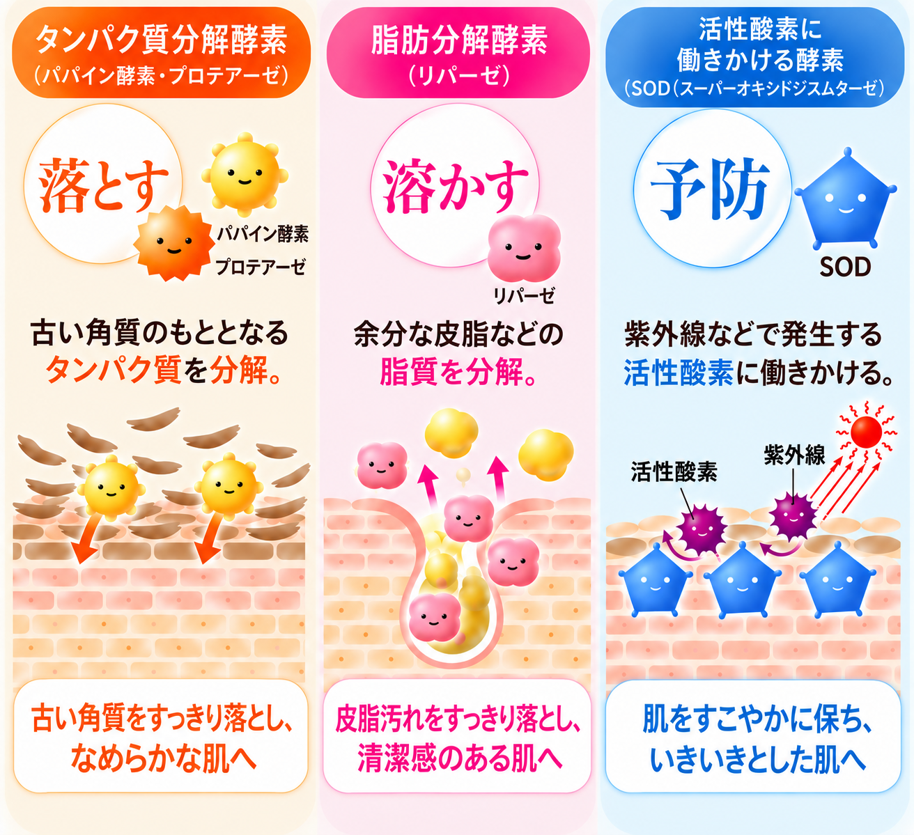 3種類の酵素の働き