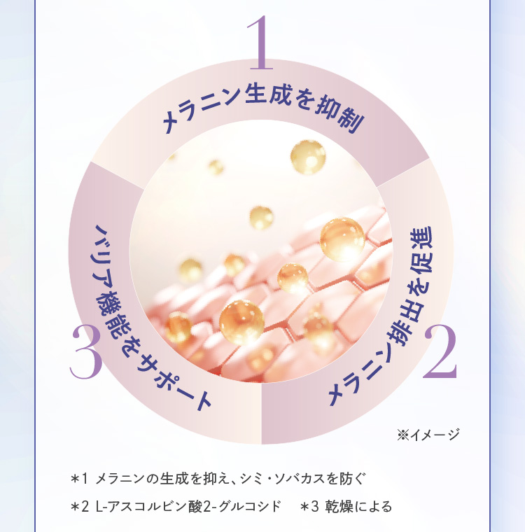 �����j��������}�� �����j���r�o�𑣐i �o���A�@�\���T�|�[�g