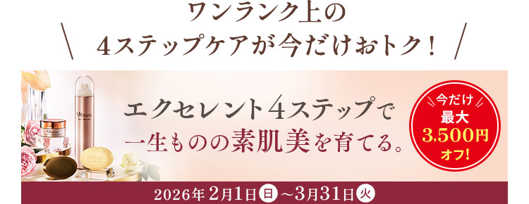 �G�N�Z�����g4�X�e�b�vCP