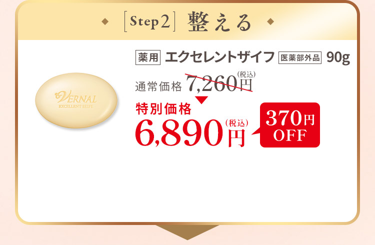 �G�N�Z�����g�U�C�t