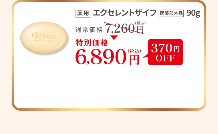 �G�N�Z�����g�U�C�t