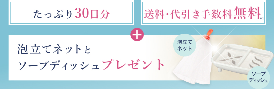 泡立てネットとソープディッシュプレゼント