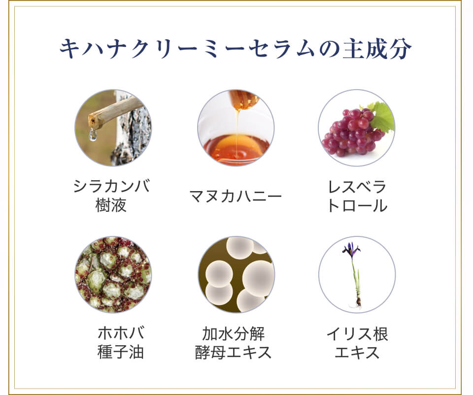 キハナクリーミーセラムの主成分