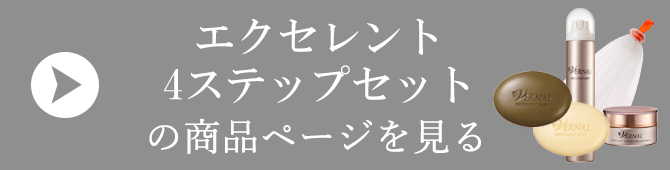 �G�N�Z�����g4�X�e�b�v�Z�b�g�̏��i�y�[�W������