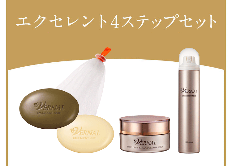 �G�N�Z�����g4�X�e�b�v�Z�b�g