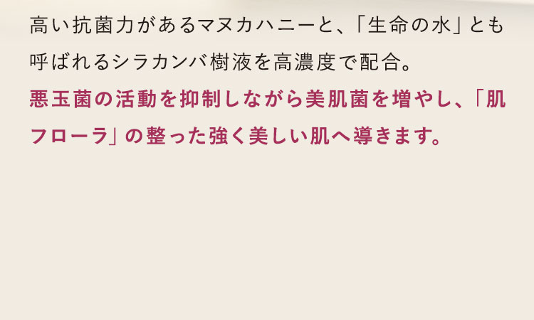 キハナ増量キャンペーン｜石鹸洗顔のヴァーナル＜公式サイト＞