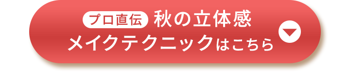 メイクテクニックはこちら