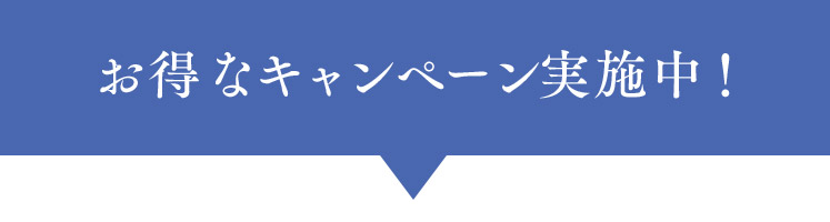iJeSꗗ͂