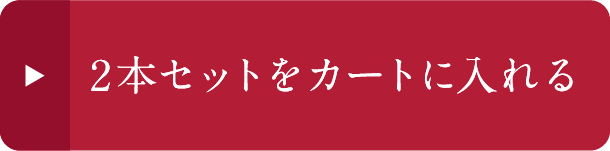 2�{�Z�b�g���J�[�g�ɓ����