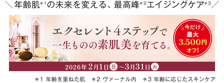 �G�N�Z�����g4�X�e�b�v�L�����y�[��