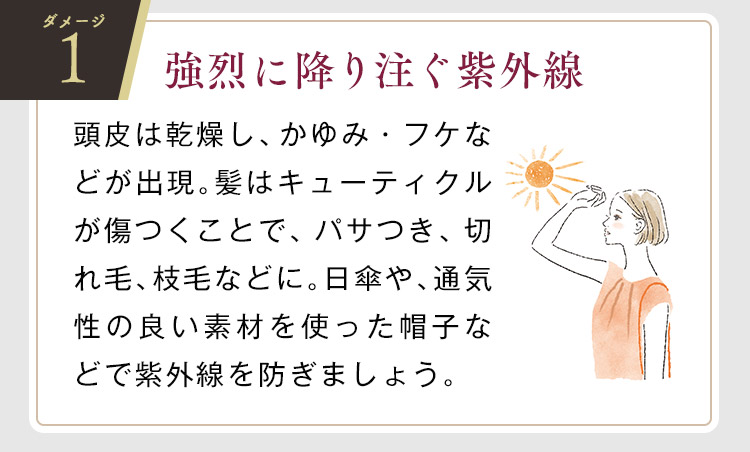ɍ~蒍O