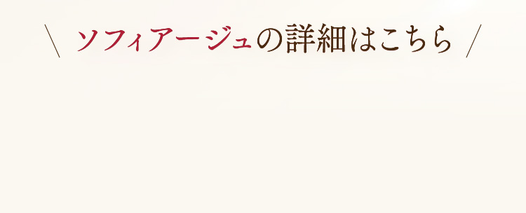 \tBA[W̏ڍׂ͂
