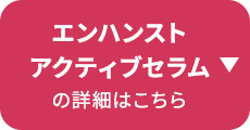 �G���n���X�g�A�N�e�B�u�Z�����̏ڍׂ͂�����