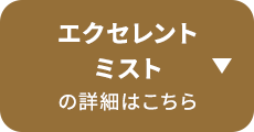 �G�N�Z�����g�~�X�g�̏��i�͂�����