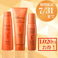 つややか美髪セット