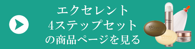 �G�N�Z�����g4�X�e�b�v�Z�b�g�̏��i�y�[�W������