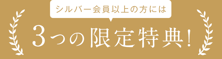 3つの限定特典!