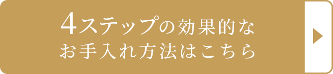 4Xebv̌ʓIȂ@͂