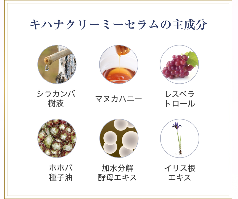 キハナクリーミーセラムの主成分