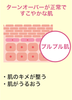 プルプル肌
