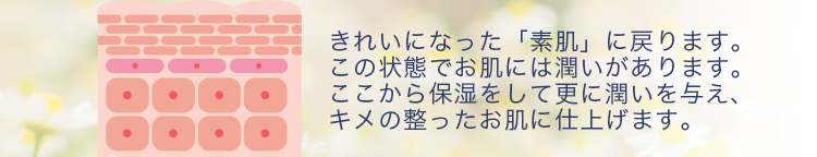 きれいになった「素肌」に戻ります。