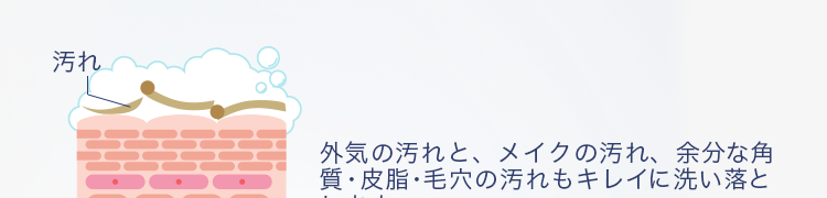 図（肌の荒れた状態・汚れがすっきり落ちました！）