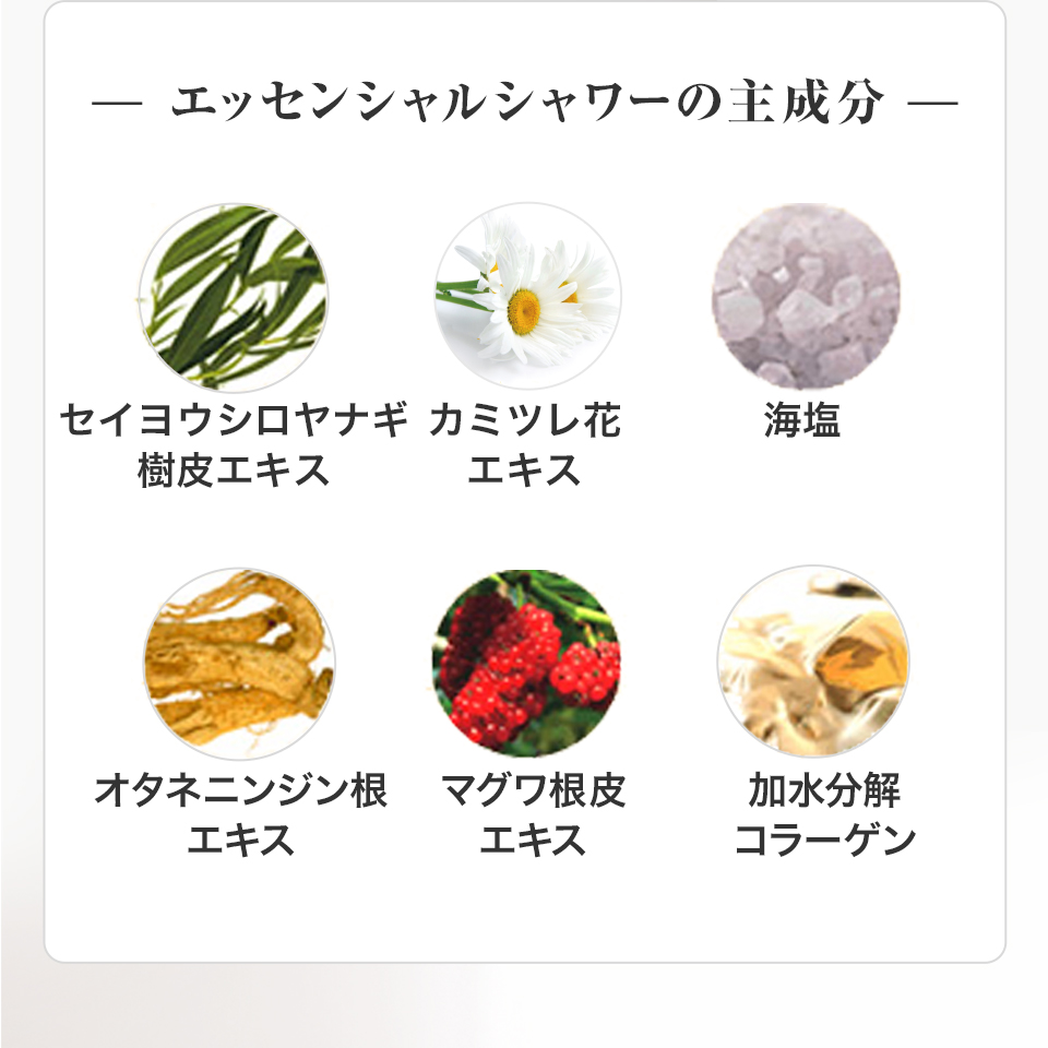 エッセンシャルシャワーの主成分