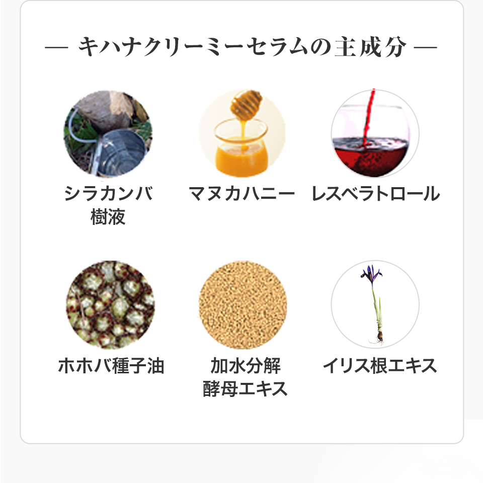 キハナクリーミーセラムの主成分