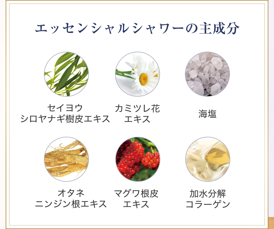 ヴァーナル エッセンシャルシャワーモイスト 120ml✕4本 VERNAL｜素肌 