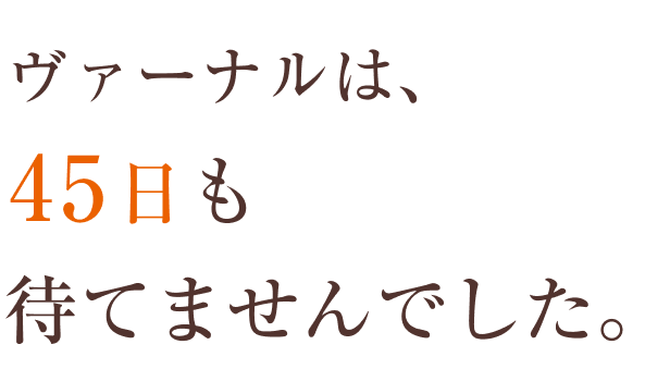 VERNAL 素肌つるつるセット お一人様1回限り 1ヵ月分 トライアル
