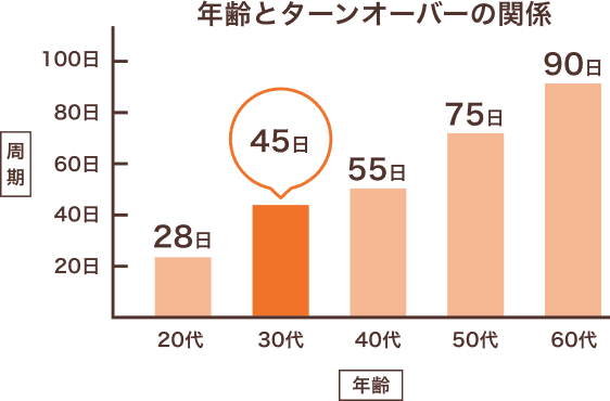 ヴァーナル　ターンオーバーイメージ