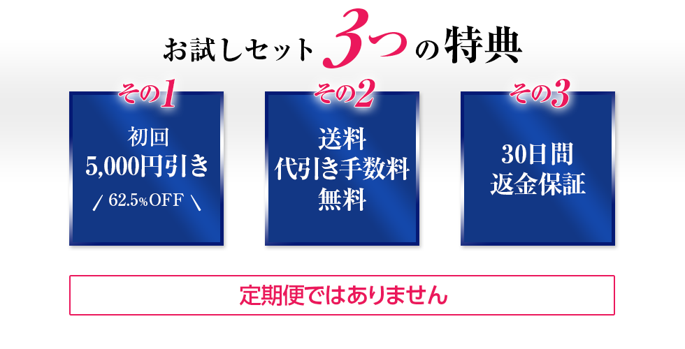 お試しセット3つの特典