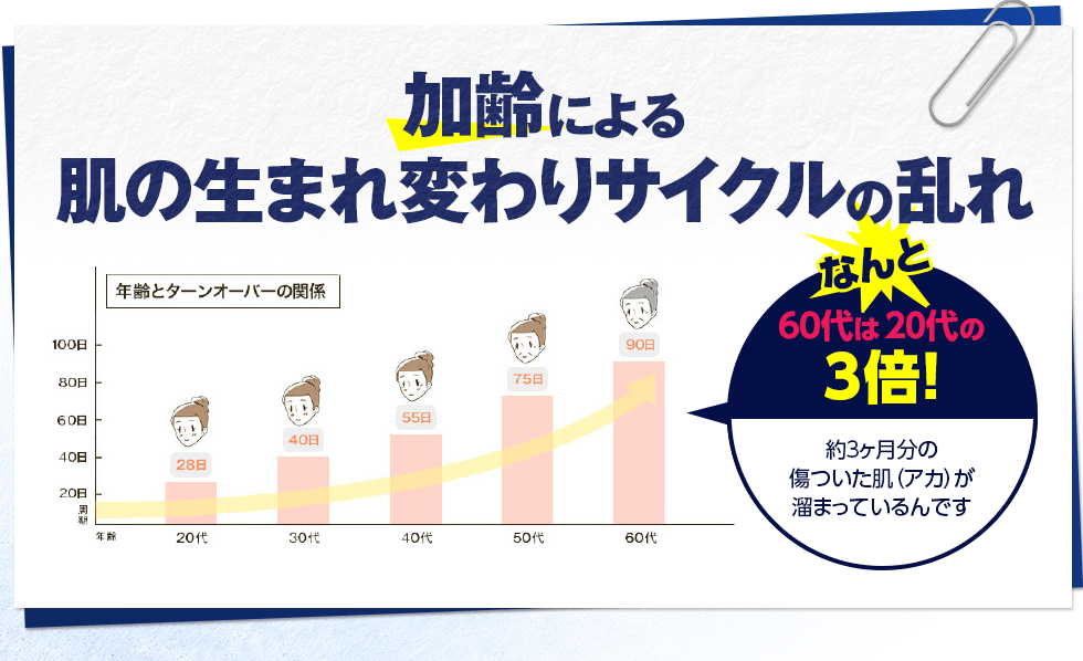 加齢による肌の生まれ変わりサイクルの乱れ