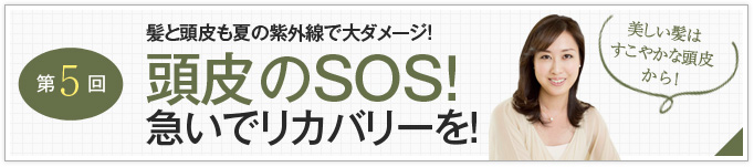 5 SOS!}ŃJo[I