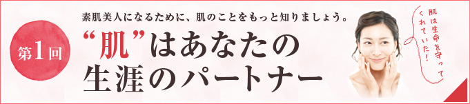 1 ͂Ȃ̐Ũp[gi[