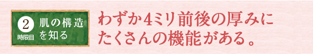 킸4~Ǒ݂ɂ̋@\B