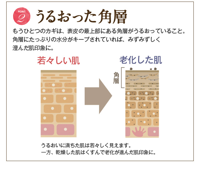 邨ew