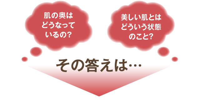 ̓́c