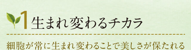 ܂ς`J