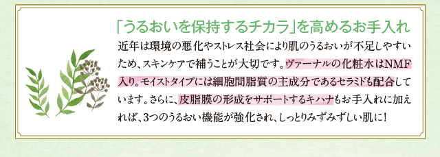 邨ێ`J߂邨
