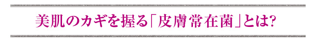 ̃JMu畆݋ہvƂ́H