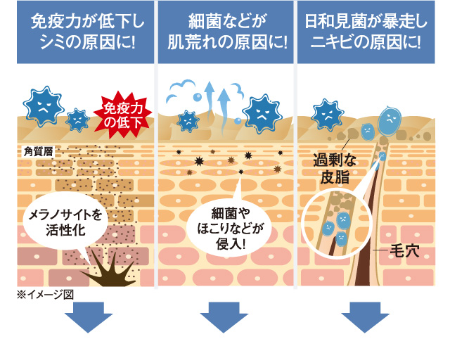 Ɖu͂ቺV~̌!