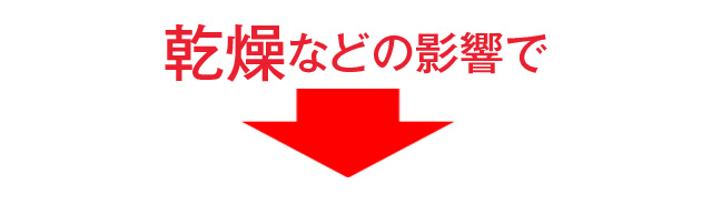 Ȃǂ̉e
