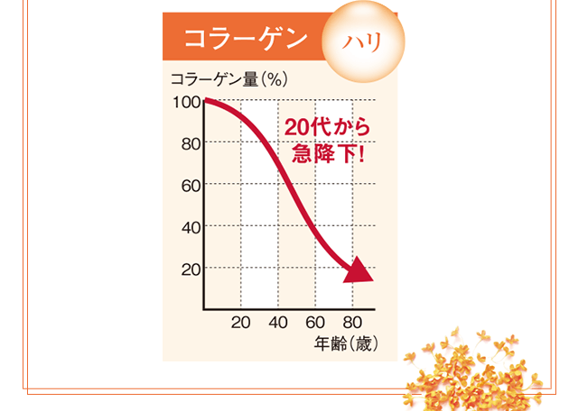 3ێ50ł͖񔼕(n)